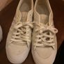 adidas canvas nizza trainers Image 3