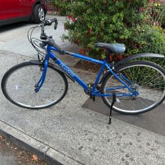 Apollo Transfer Hybrid Bike