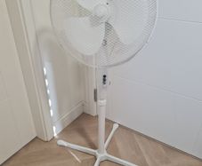 fan