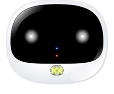 GPS Wireless Dog Fence
