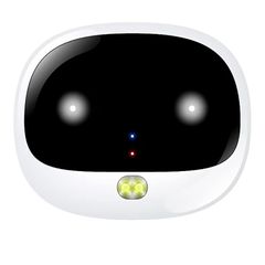 GPS Wireless Dog Fence