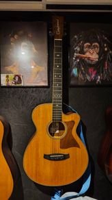 Tanglewood Reunion Electro-Acoustic Guitar (Pacific Walnut)