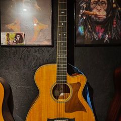 Tanglewood Reunion Electro-Acoustic Guitar (Pacific Walnut)