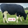 Radney Proven Protein Sale Image 2