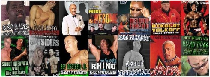 WWE WWF WCW ECW ROH TNA Wrestling Shoot Interview DVDs (All Brand New)