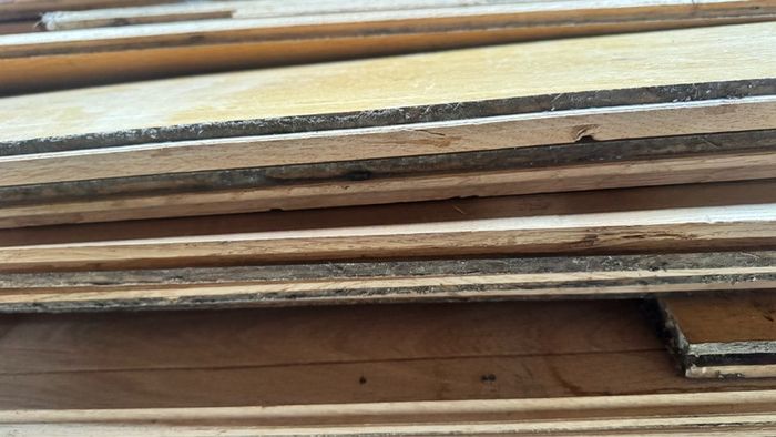 Solid wood floor boards