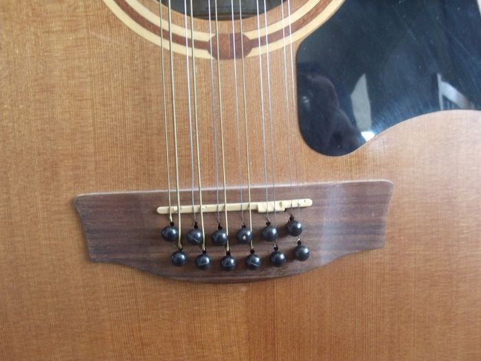Garrison GD-20-12 CE 12 string Guitar - Spares or Repairs - 2007 Made in Canada