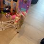 barbie dolls and accessories Image 8