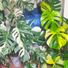 Secret Jungle Joanna