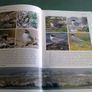 To the ends of the earth Ireland's place in bird migration Ireland Irish Signed Image 5