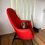 Armchair Image 3