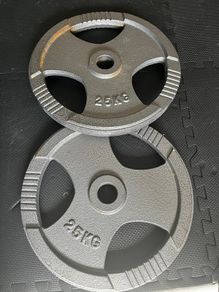 25kg weight plates