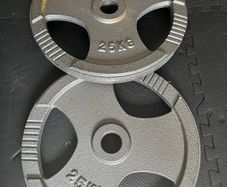 25kg weight plates