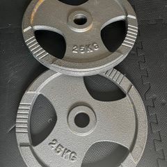 25kg weight plates