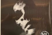 In Solitude - Sister