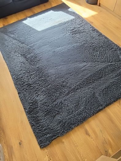 Carpet