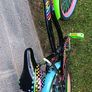 Girls Bicycle Image 3