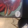 Pavement  - Watery Domestic LP  - Picture Disc Image 5
