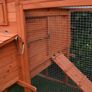 Large Chicken Coop 6-9 Birds  Natural Wood Image 5
