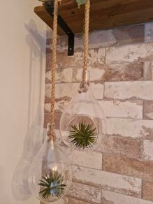 hanging plant holders