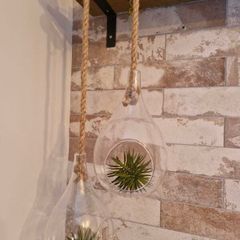 hanging plant holders