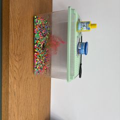 Fish tank