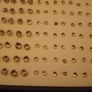 Ear Rings 100 Pairs in Display Box Image 7