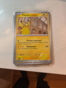 Pikachu at the museum x10