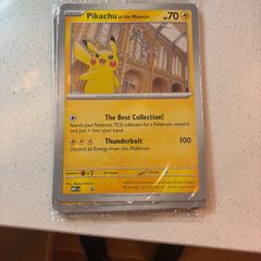 Pikachu at the museum x10