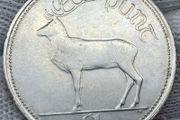 Ireland 1996 1 Pound Coin