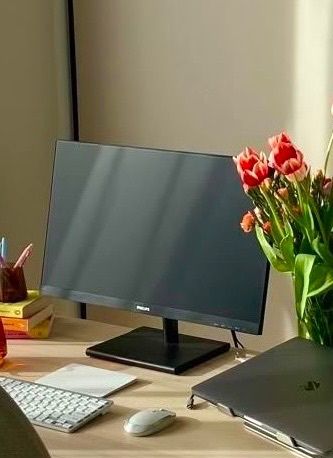 Philips 24 inch QHD 1440p IPS Monitor 245E1S