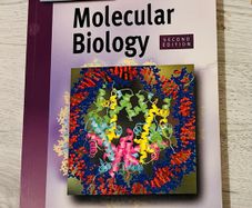 Molecular Biology by P Turner, A McLennan, A Bates & M White