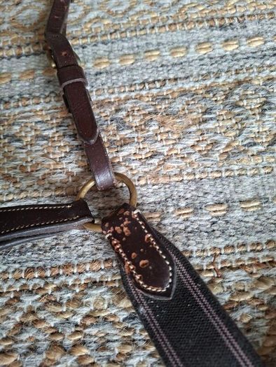 Breastplate 5 point.Shires