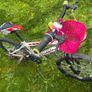bike for girl Image 3