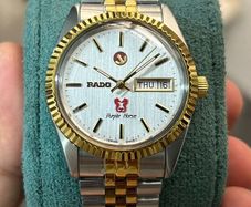 Rado Purple Horse Silver Dial  two-tone Automatic Men's Swiss Watch