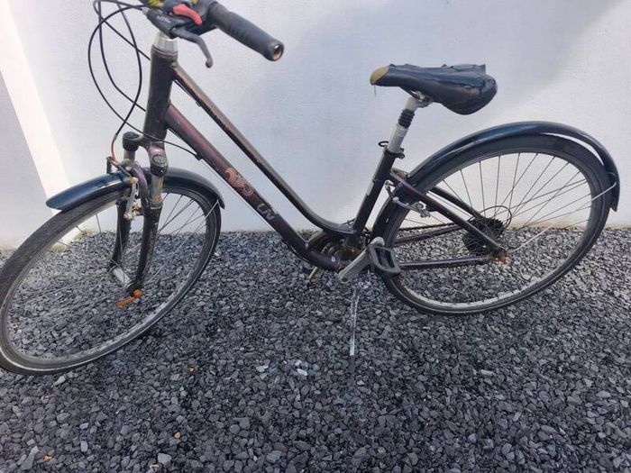Giant LIV ladies bike