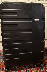 Gino Ferrari luggage suitcase large