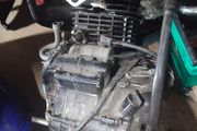 hornet 600 vfr 800