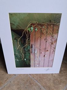 'Pink Door '