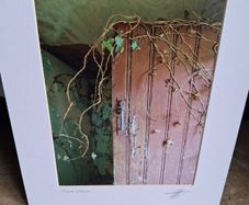 'Pink Door '