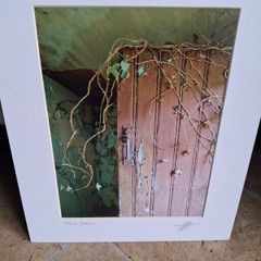'Pink Door '