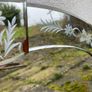 Oval Mirror Image 2