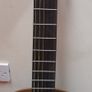 Ortega Electro-Classical Guitar (RE159RWSN) Image 2