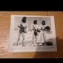 1971 Escape From The Planet Of The Apes Press Photos Image 2