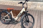 Electric Bicycle