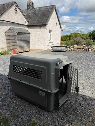 Extra Large IATA dog crate
