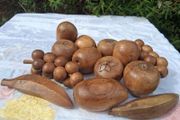 Set of 13 Mid Century Acacia Hardwood Fruits