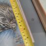 Lovely Fraamrd Signed Pictuer Of Egale  Pencel Coloered By Alan Whitty. Image 8