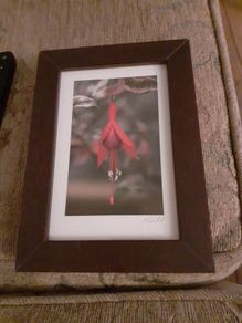 Art.