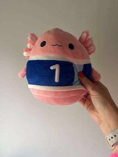 Swuishmallows and teddies